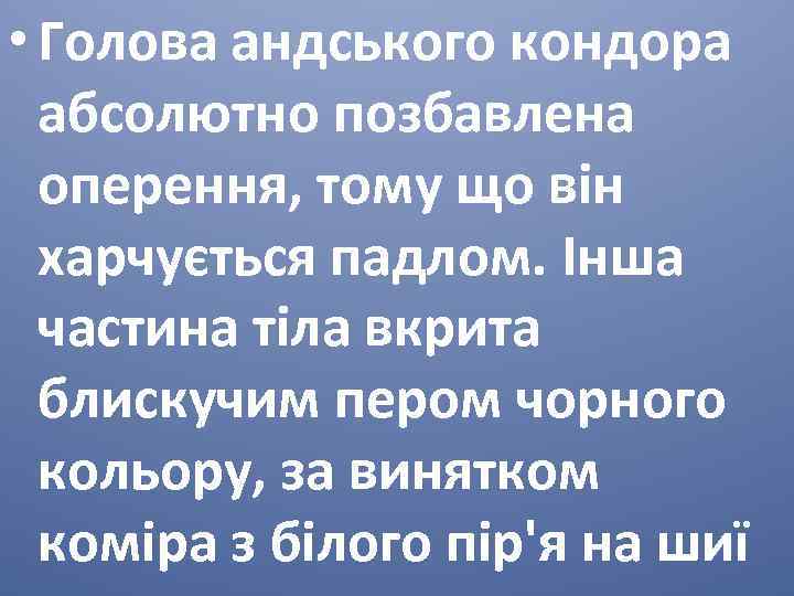  • Голова андського кондора абсолютно позбавлена оперення, тому що він харчується падлом. Інша