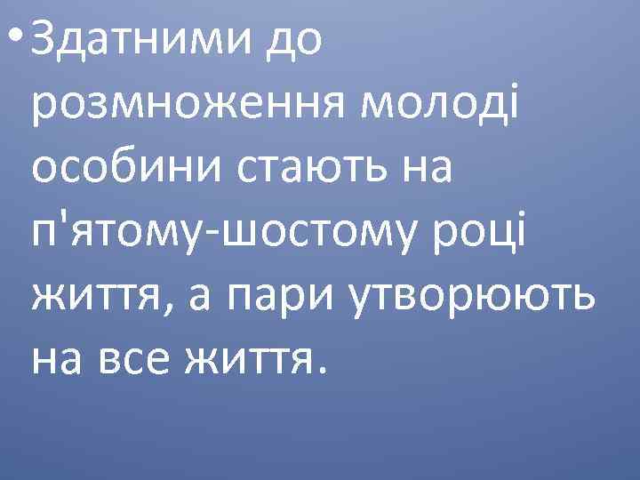  • Здатними до розмноження молоді особини стають на п'ятому-шостому році життя, а пари