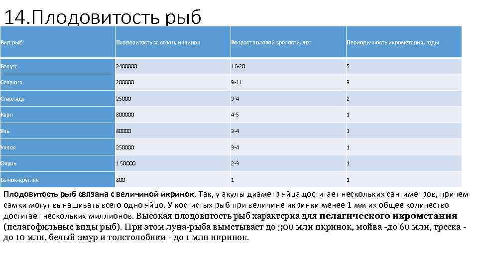 Размер и плодовитость