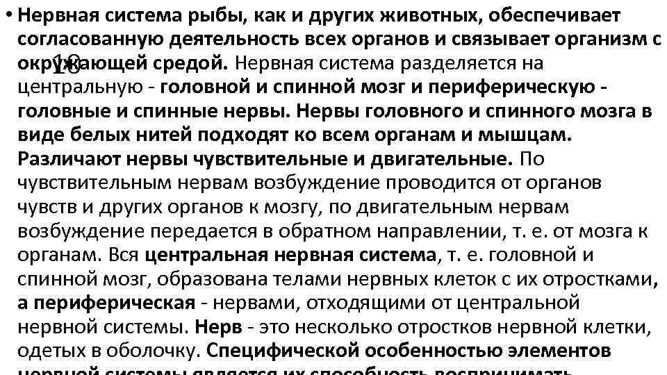  • Нервная система рыбы, как и других животных, обеспечивает согласованную деятельность всех органов