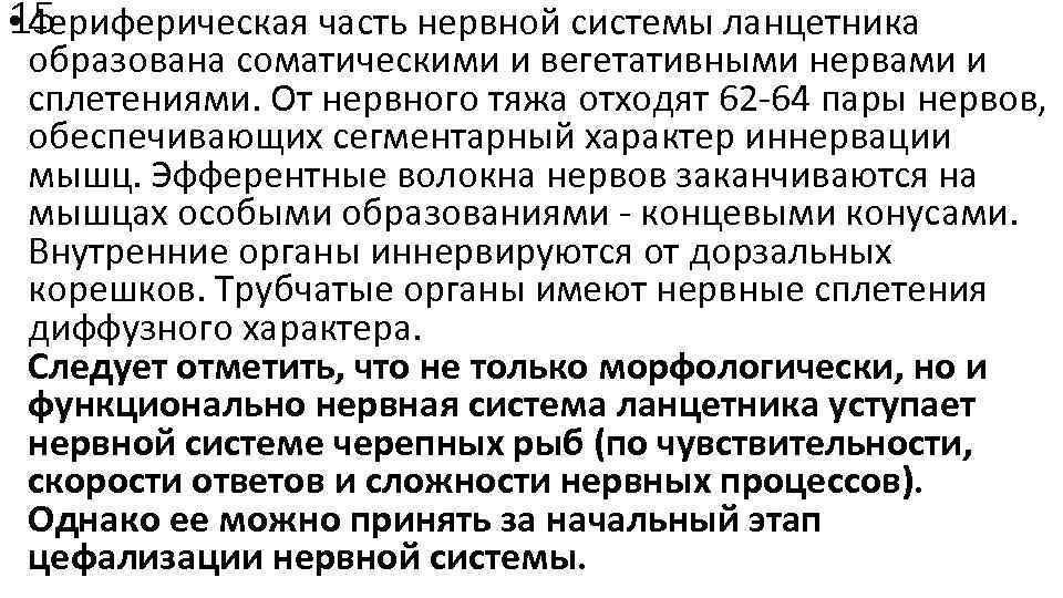 15 • 4 ериферическая часть нервной системы ланцетника образована соматическими и вегетативными нервами и