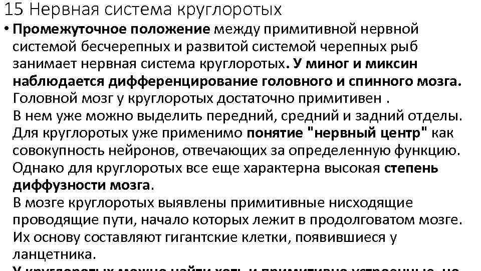 15 Нервная система круглоротых • Промежуточное положение между примитивной нервной системой бесчерепных и развитой