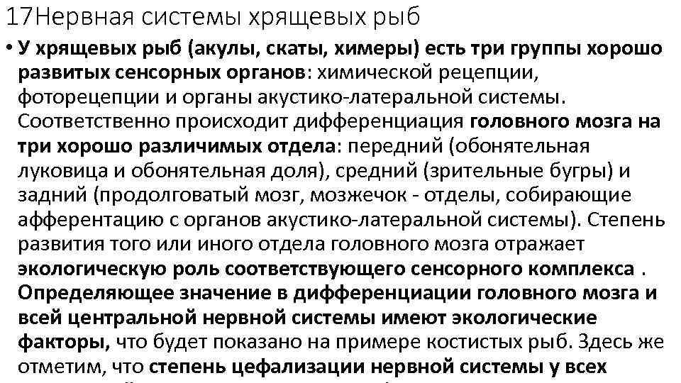 17 Нервная системы хрящевых рыб • У хрящевых рыб (акулы, скаты, химеры) есть три