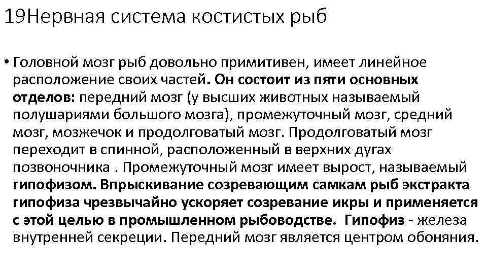 19 Нервная система костистых рыб • Головной мозг рыб довольно примитивен, имеет линейное расположение