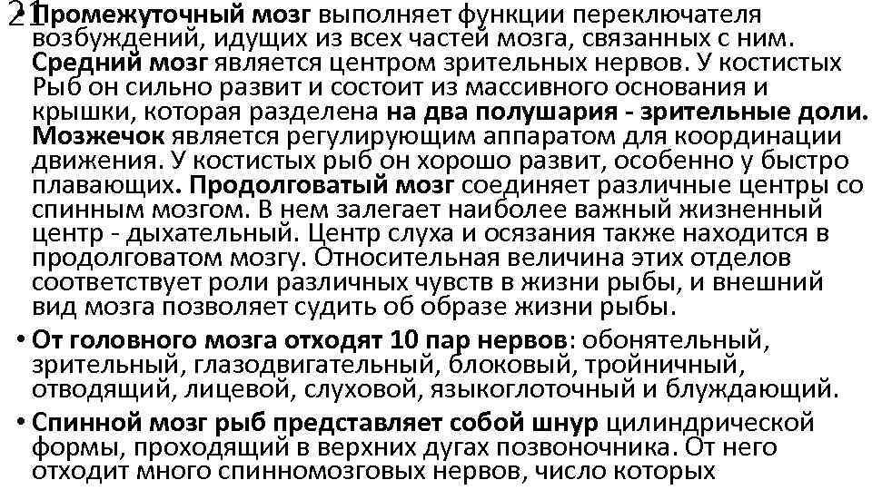  • Промежуточный мозг выполняет функции переключателя 21 возбуждений, идущих из всех частей мозга,