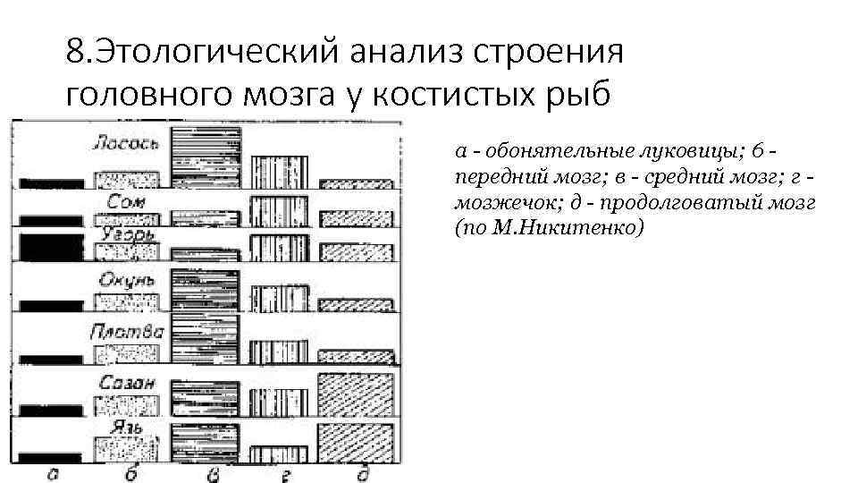 8. Этологический анализ строения головного мозга у костистых рыб а - обонятельные луковицы; 6
