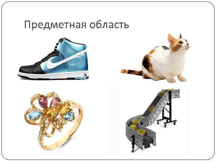 Предметная область 