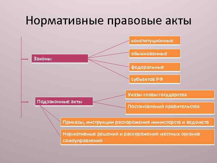 Законодательство и нормативно правовые акты