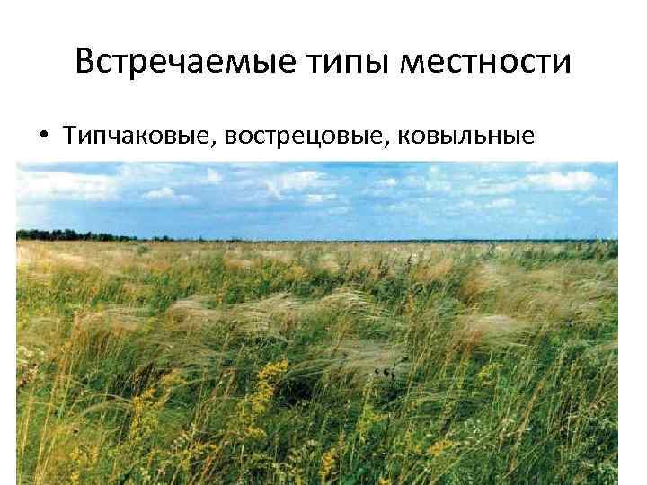 Типы местности