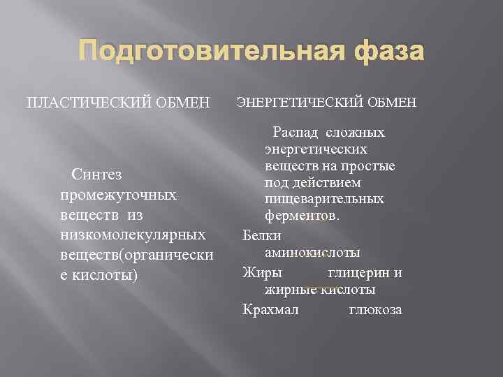 Подготовительная фаза ПЛАСТИЧЕСКИЙ ОБМЕН Синтез промежуточных веществ из низкомолекулярных веществ(органически е кислоты) ЭНЕРГЕТИЧЕСКИЙ ОБМЕН