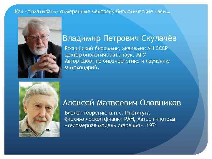 Как «отматывать» отмеренные человеку биологические часы… Владимир Петрович Скулачёв Российский биохимик, академик АН СССР