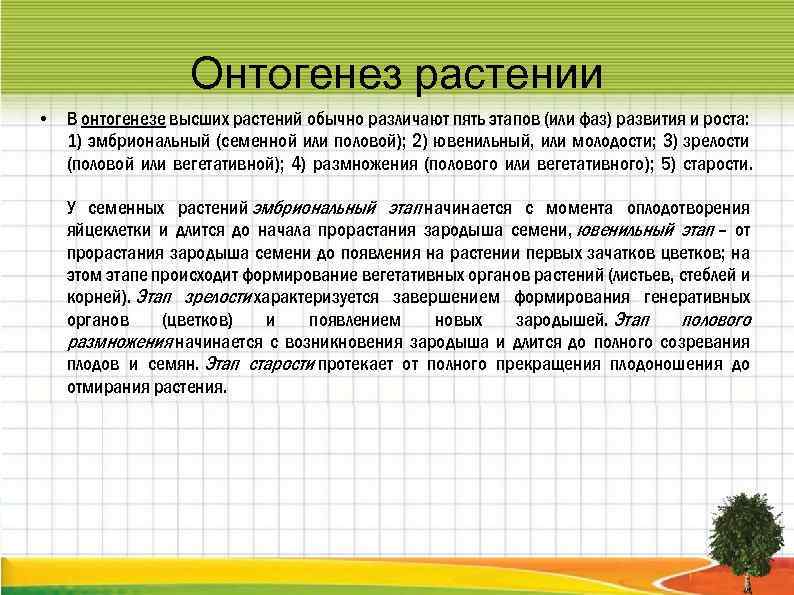 Онтогенез растении • В онтогенезе высших растений обычно различают пять этапов (или фаз) развития