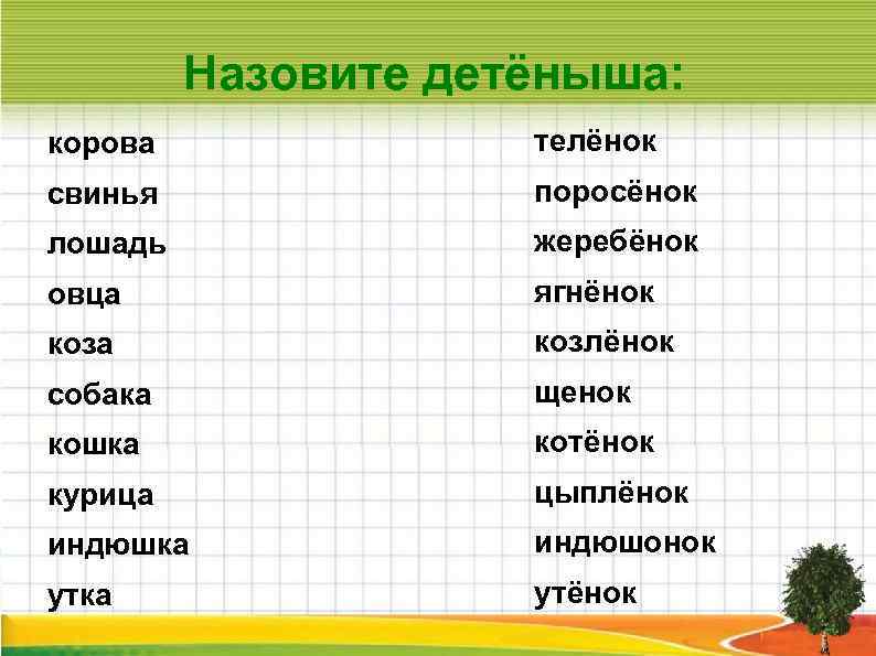 Назовите детёныша: корова телёнок свинья поросёнок лошадь жеребёнок овца ягнёнок коза козлёнок собака щенок