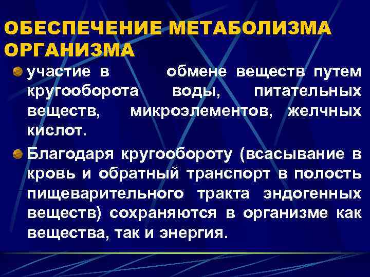 ОБЕСПЕЧЕНИЕ МЕТАБОЛИЗМА ОРГАНИЗМА участие в обмене веществ путем кругооборота воды, питательных веществ, микроэлементов, желчных