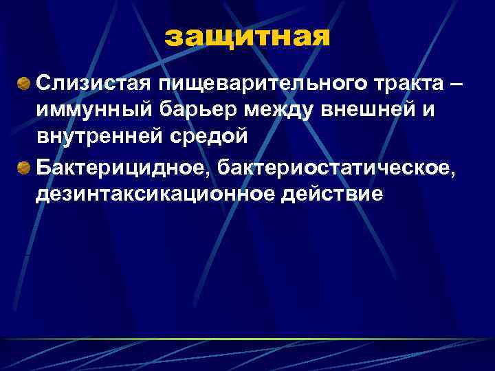 защитная Слизистая пищеварительного тракта – иммунный барьер между внешней и внутренней средой Бактерицидное, бактериостатическое,