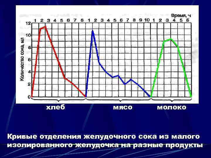 хлеб мясо молоко Кривые отделения желудочного сока из малого изолированного желудочка на разные продукты