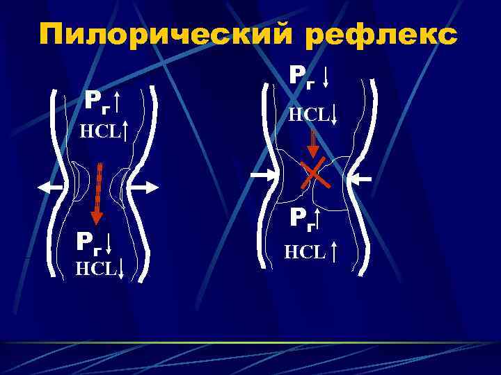 Пилорический рефлекс Рг HCL 