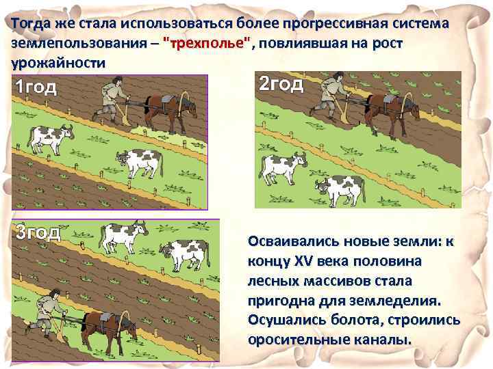 Тогда же стала использоваться более прогрессивная система землепользования – 