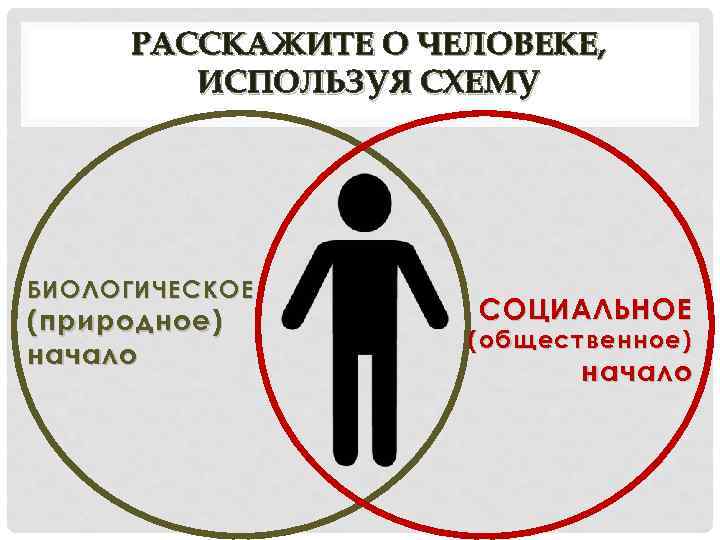 РАССКАЖИТЕ О ЧЕЛОВЕКЕ, ИСПОЛЬЗУЯ СХЕМУ БИОЛОГИЧЕСКОЕ (природное) начало СОЦИАЛЬНОЕ (общественное) начало 