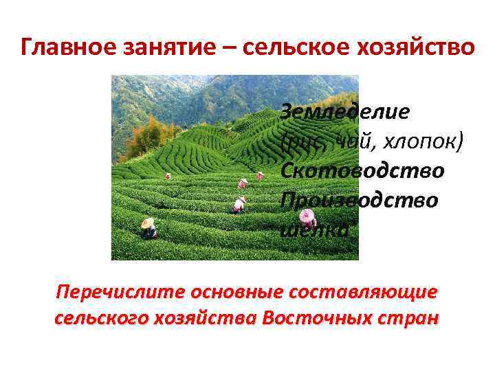 Главное занятие – сельское хозяйство Земледелие (рис, чай, хлопок) Скотоводство Производство шелка Перечислите основные
