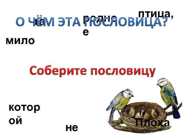 родно е та мило птица, Соберите пословицу гнездо котор ой не Плоха 