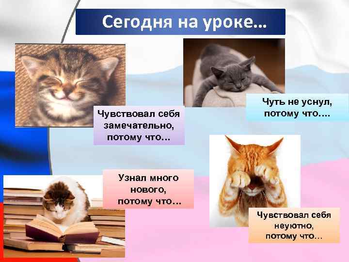 Сегодня на уроке… Чувствовал себя замечательно, потому что… Чуть не уснул, потому что…. Узнал