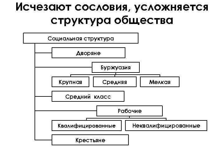 Исчезают сословия, усложняется структура общества Социальная структура Дворяне Буржуазия Крупная Средняя Мелкая Средний класс