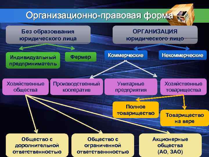 Организационно-правовая форма Без образоввания юридического лица Индивидуальный предприниматель Хозяйственные общества ОРГАНИЗАЦИЯ юридического лицо Фермер