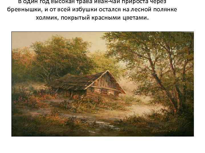 В один год высокая трава иван-чай прироста через бревнышки, и от всей избушки остался
