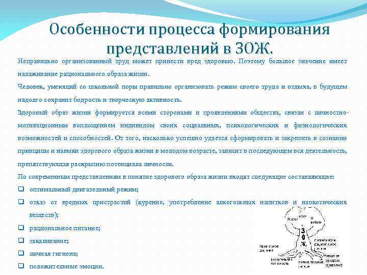 Особенности процесса формирования представлений в ЗОЖ. Неправильно организованный труд может принести вред здоровью. Поэтому