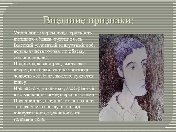 Внешние признаки: Утонченные черты лица, хрупкость внешнего облика, худощавость Высокий угловатый квадратный лоб, верхняя