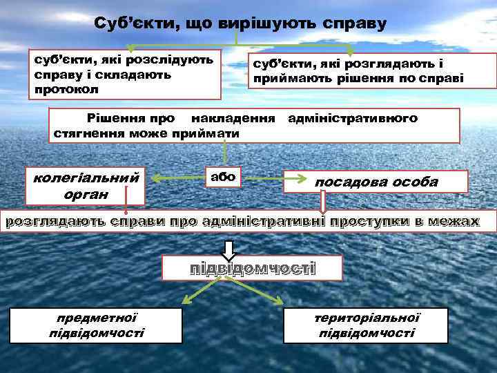 Суб’єкти, що вирішують справу суб’єкти, які розслідують справу і складають протокол суб’єкти, які розглядають