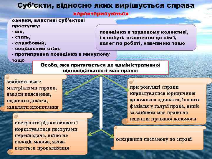 Суб’єкти, відносно яких вирішується справа характеризуються ознаки, властиві суб’єктові проступку: - вік, поведінка в