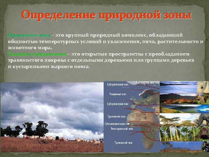 Определение природной зоны Природная зона – это крупный природный комплекс, обладающий общностью температурных условий