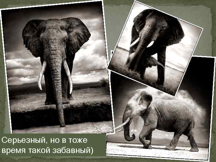 Cерьезный, но в тоже время такой забавный) 