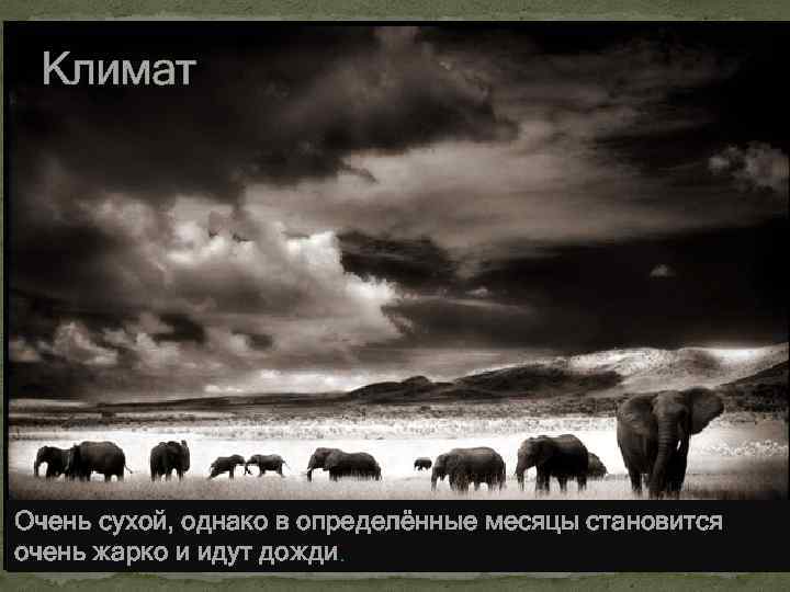 Климат Очень сухой, однако в определённые месяцы становится очень жарко и идут дожди. 