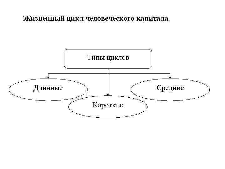 Человеческий цикл