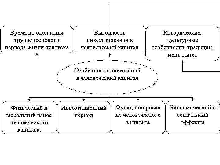 Инвестиции в человеческий капитал картинки