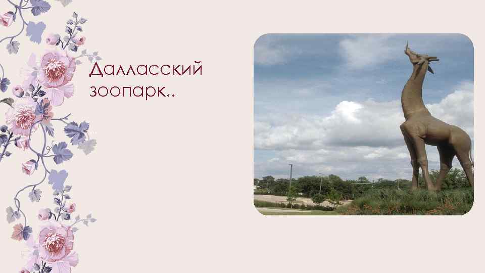 Далласский зоопарк. . … 