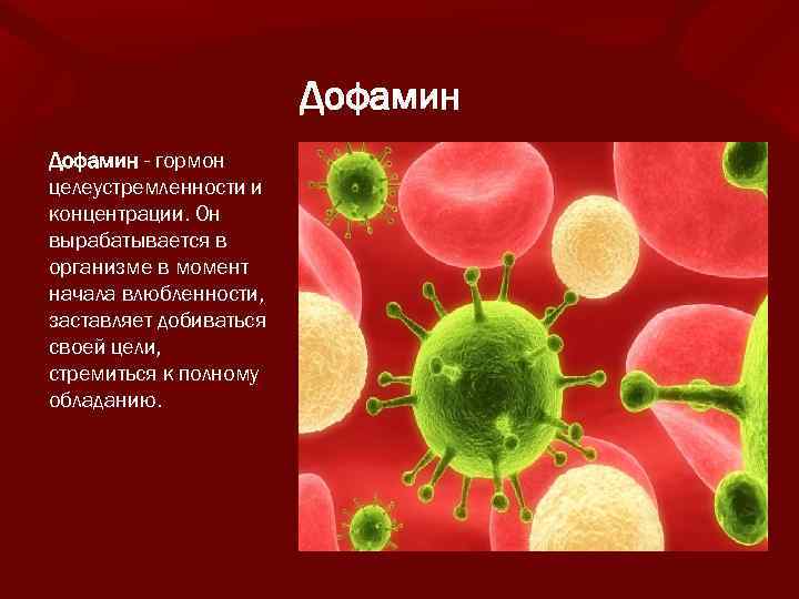 Дофамин это. Дофамин гормон. Дофамин роль в организме. Дофамин это простыми словами. Дофамин это гормон чего.