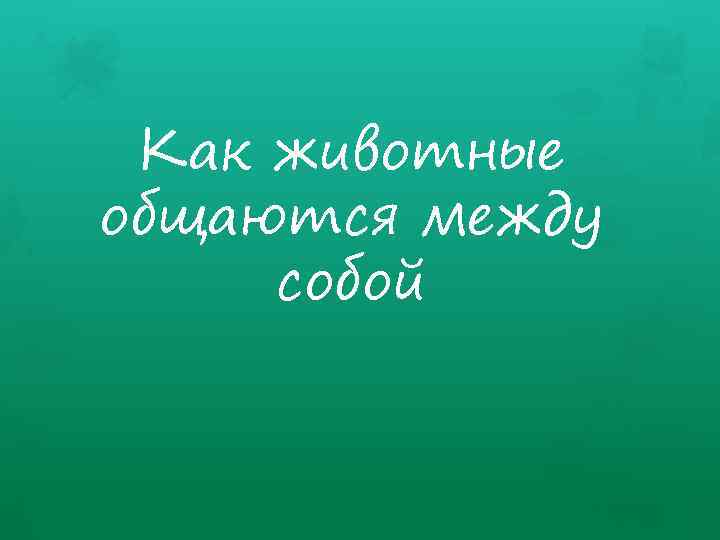 Как животные общаются между собой 