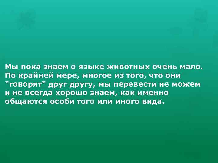 Мы пока знаем о языке животных очень мало. По крайней мере, многое из того,