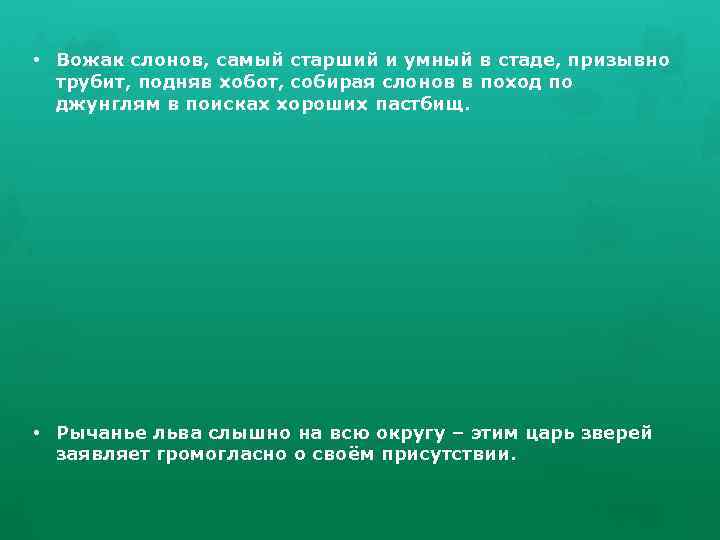  • Вожак слонов, самый старший и умный в стаде, призывно трубит, подняв хобот,