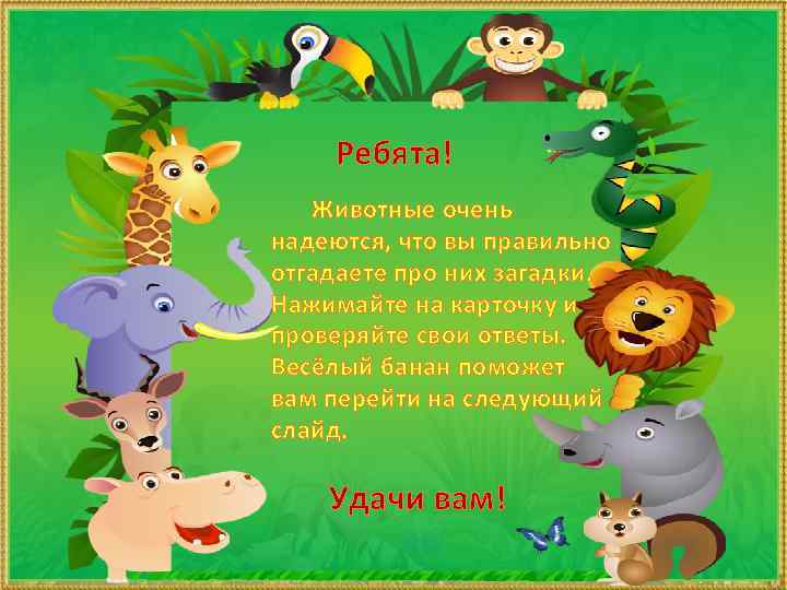 Ребята! Животные очень надеются, что вы правильно отгадаете про них загадки. Нажимайте на карточку