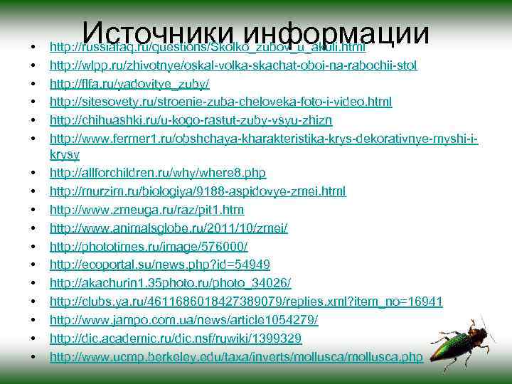  • • • • • Источники информации http: //russiafaq. ru/questions/Skolko_zubov_u_akuli. html http: //wlpp.