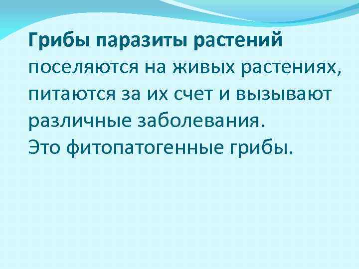 Грибы паразиты растений поселяются на живых растениях, питаются за их счет и вызывают различные