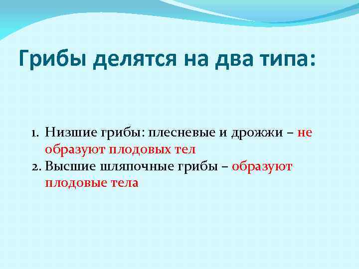 Грибы делятся на два типа: 1. Низшие грибы: плесневые и дрожжи – не образуют