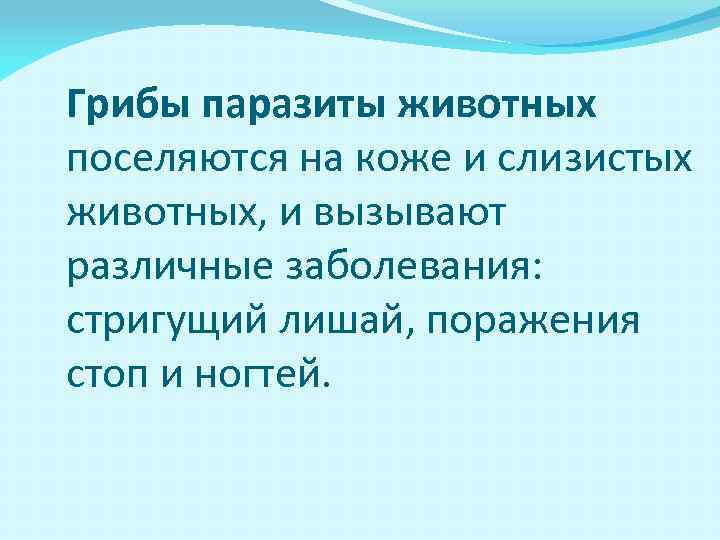 Грибы паразиты животных поселяются на коже и слизистых животных, и вызывают различные заболевания: стригущий