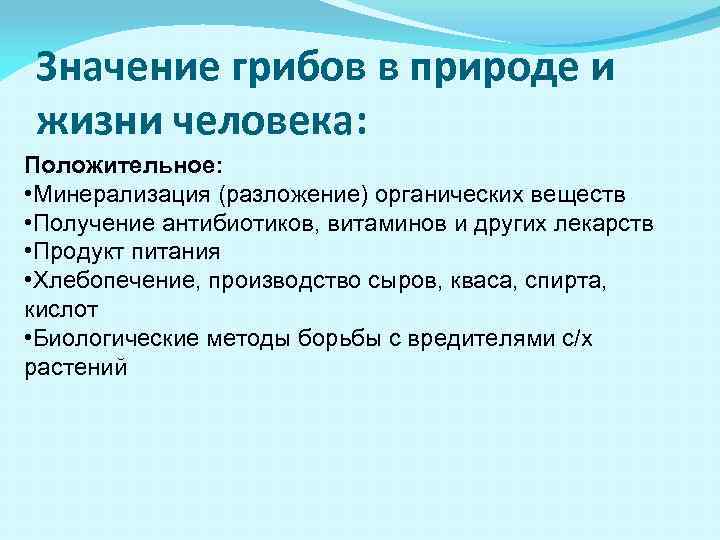 Значение грибов в природе и жизни человека: Положительное: • Минерализация (разложение) органических веществ •