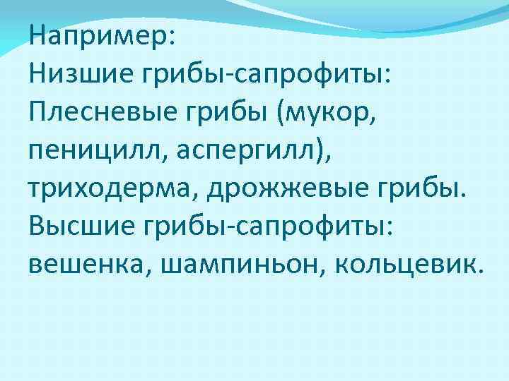 Например: Низшие грибы-сапрофиты: Плесневые грибы (мукор, пеницилл, аспергилл), триходерма, дрожжевые грибы. Высшие грибы-сапрофиты: вешенка,